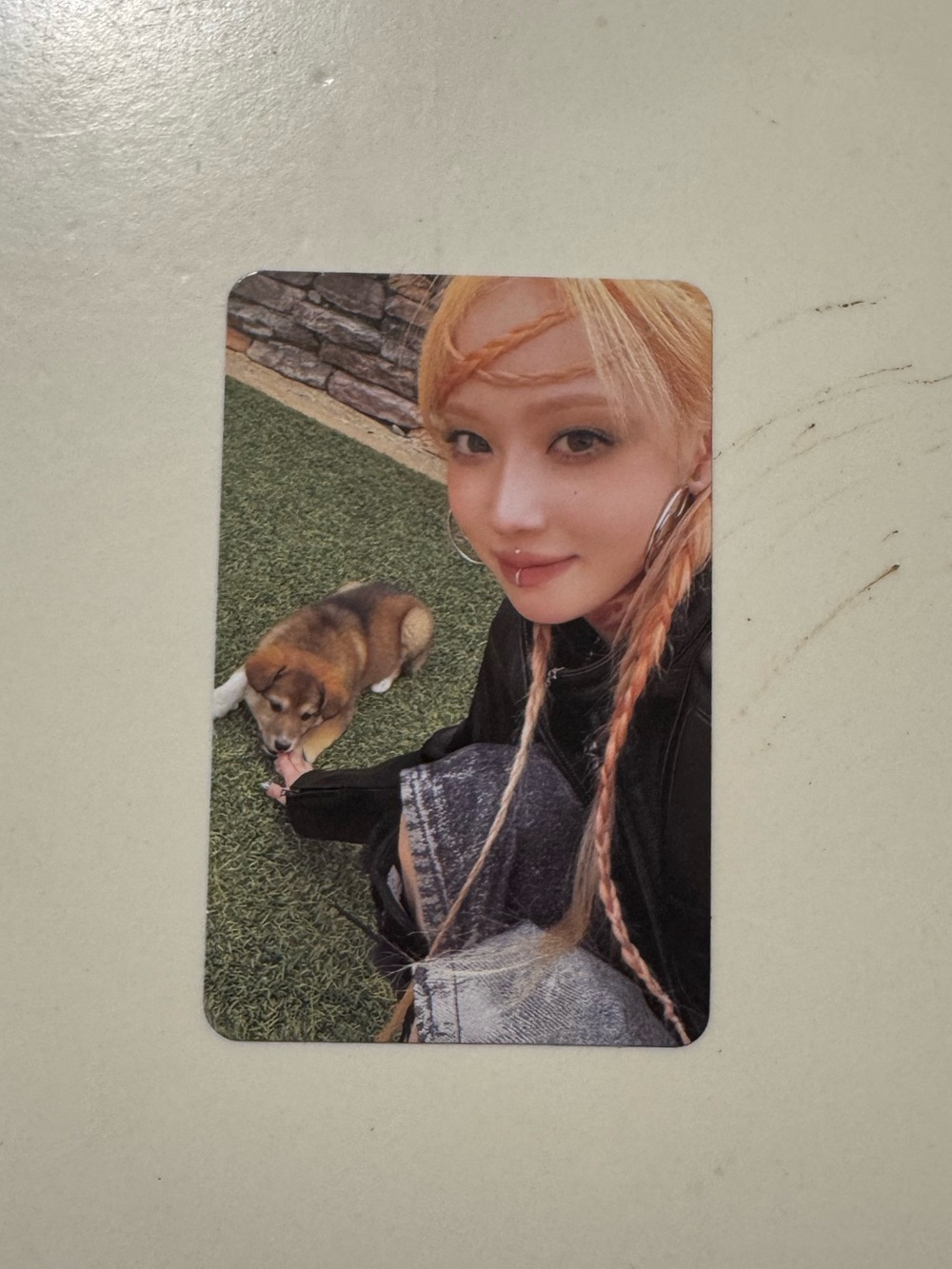 aespa Winter Armageddon Photocard with a puppy!